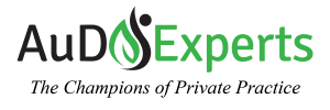 Aud Experts Logo